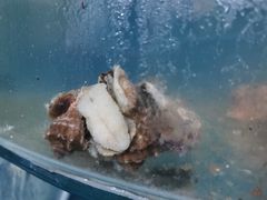 -晓伟海鲜家常菜