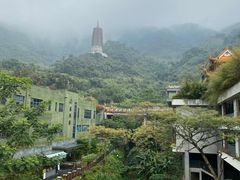 -深圳仙湖植物园