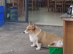 -鹿福农庄(南沙天后宫店)