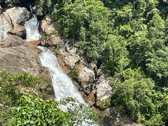 -海南热带雨林国家公园吊罗山景区