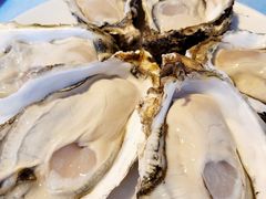 -千岛蚝高压锅生蚝·人参火锅(白云万达店)