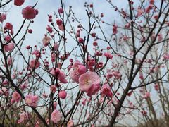 -苏州太湖国家湿地公园