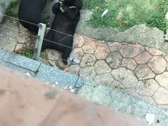 -无锡动物园·太湖欢乐园