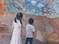 -杭州开元森泊度假乐园