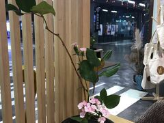 -扫雪煮茶(西村店)