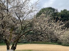 -杭州植物园