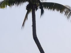 -清水湾旅游度假区