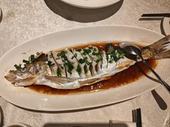 -金美华轩(东方路齐鲁店)