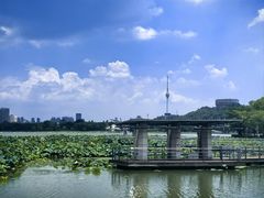 -月湖风景区