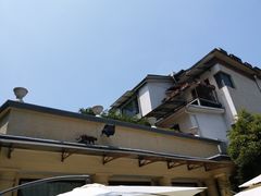 -老洋房花园饭店(绍兴路店)