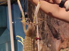 -辉记炭烧海鲜大排档·老字号(福田店)