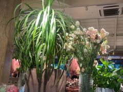 -春暖花开(西溪店)