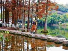 -重庆彩云湖湿地公园