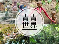 -青青世界