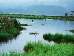 -腾冲北海湿地