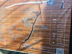 -汤旺河林海奇石景区