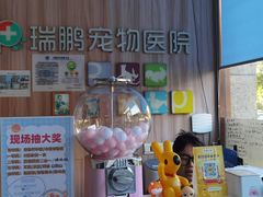 -瑞鹏宠物医院·内科·中兽医·骨科(苗圃店)