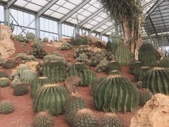 -南通洲际绿博园