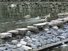 -鹿亭中村