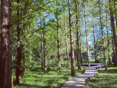 -国家植物园南园