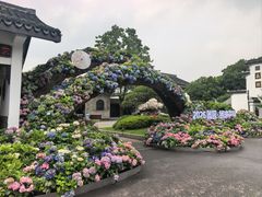 -无锡蠡湖国家湿地公园-蠡园