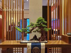 -鼎族怡华·指压·油压·经络(西单昌盛大厦店)