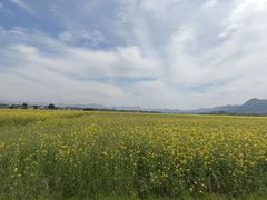 -新安江山水画廊风景区
