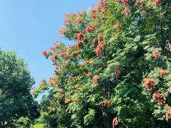 -复旦大学附属华山医院(浦东院区)