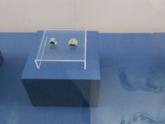 -福建博物院