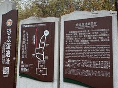 -中国西峡恐龙遗迹园