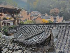 -杨家堂村