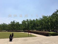 -御林古桑园