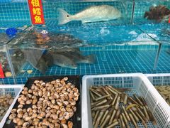 水产区-双福水果批发市场