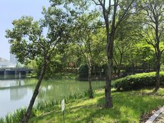 -尚贤河湿地