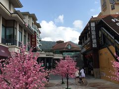 -三亚亚龙湾雅高美爵酒店