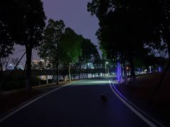 -洋湖国家湿地公园