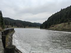 -武陵山森林公园