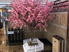 -银子铁板烧料理自助餐(人民广场店)