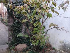 -天目湖御水温泉·度假酒店