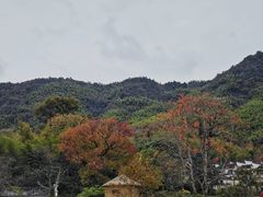 -塔川景区