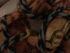 -佰园全日西餐厅-厦门佰翔软件园酒店