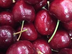 -沈阳市八家子水果批发市场