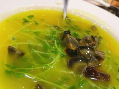 金丝浓汁鸡毛菜-砂锅居(西四店)