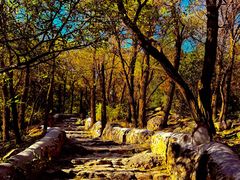 -阳台山自然风景区