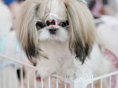 -昆明滇池国际会展中心