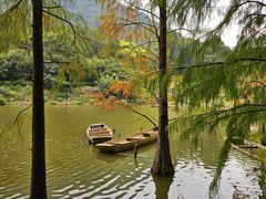 -深圳仙湖植物园