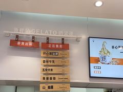 -野人先生现做冰淇淋(西安赛格店)