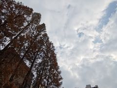 景观位-一尺花园(安和花园店)