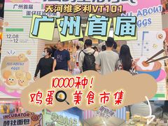 -VT101维多利广场