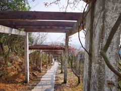 -缥缈峰景区